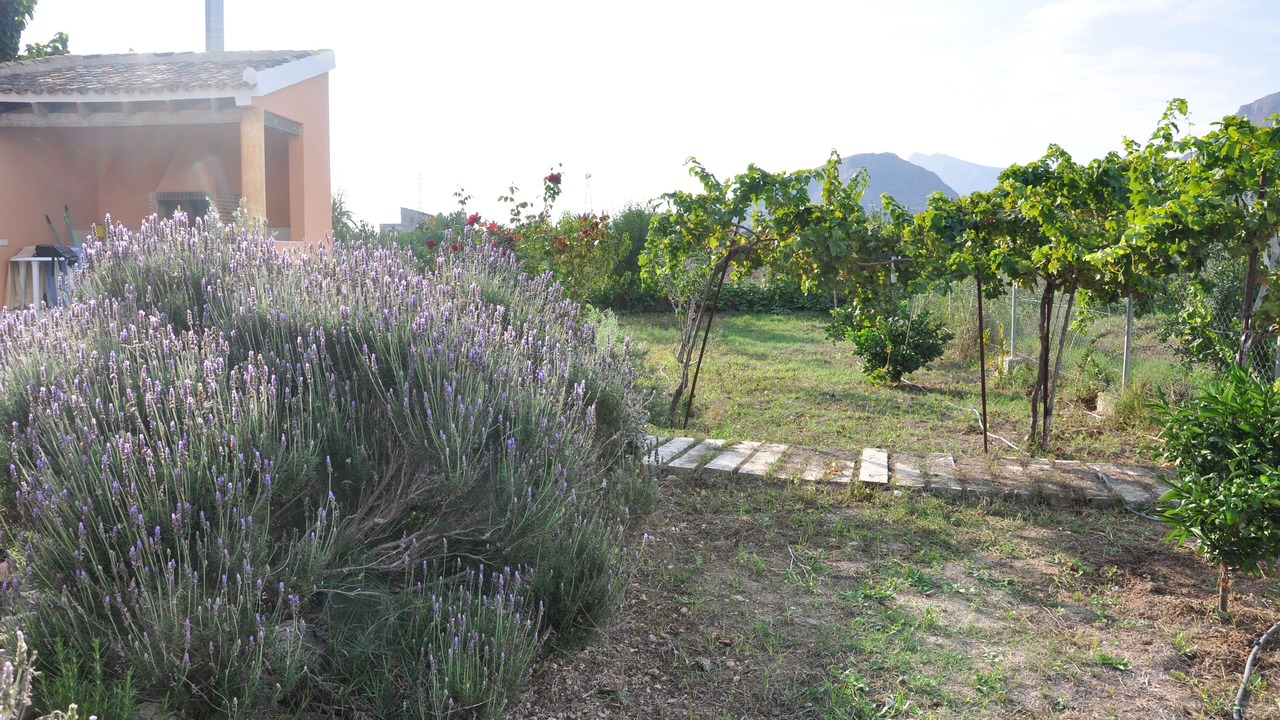 Photo of Outdoor in Orihuela