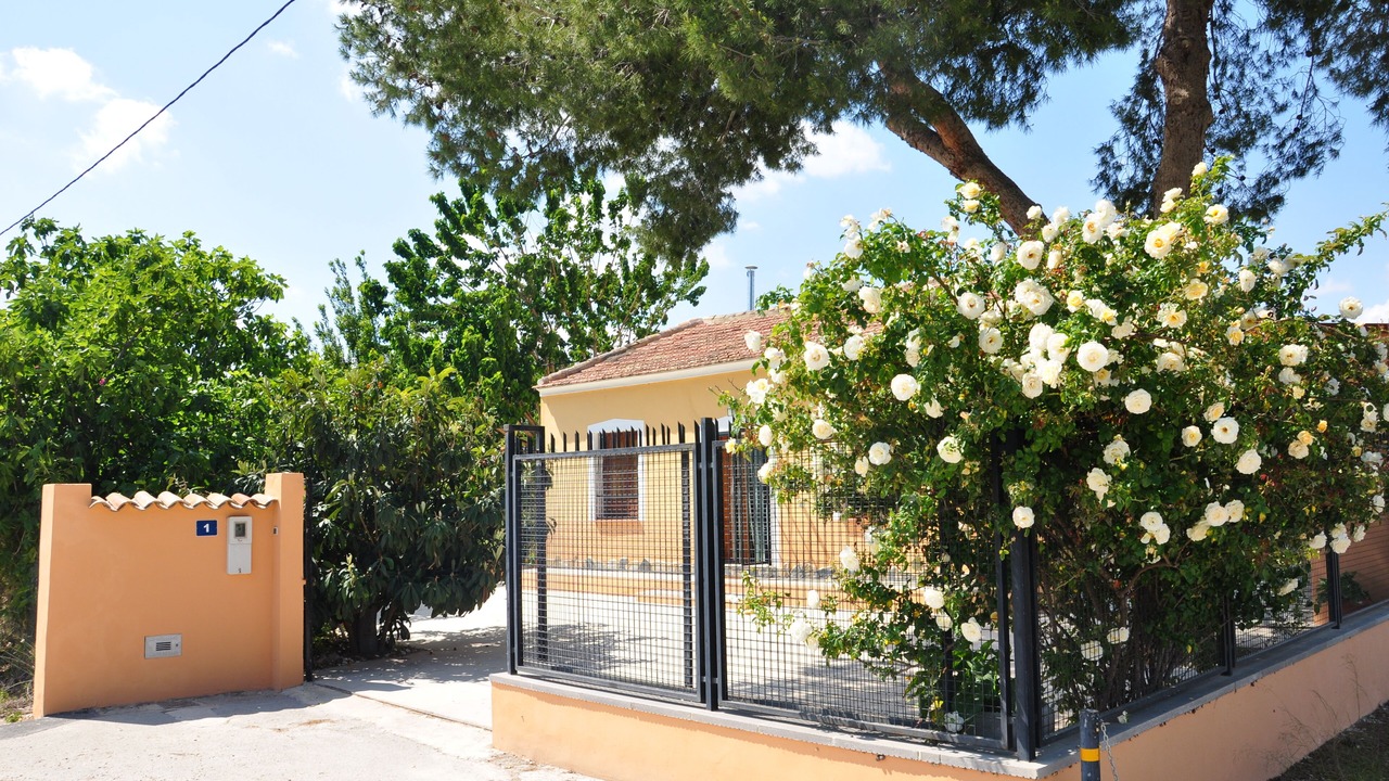 Photo of Outdoor in Orihuela