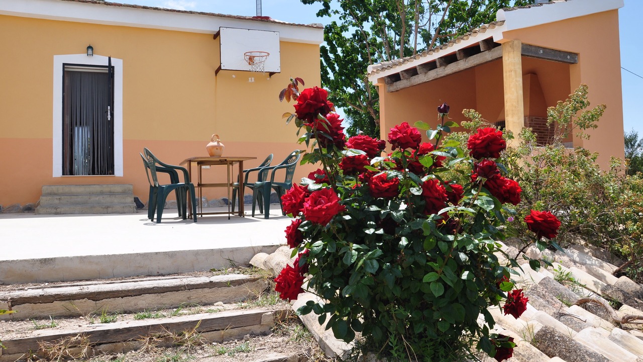 Photo of Outdoor in Orihuela