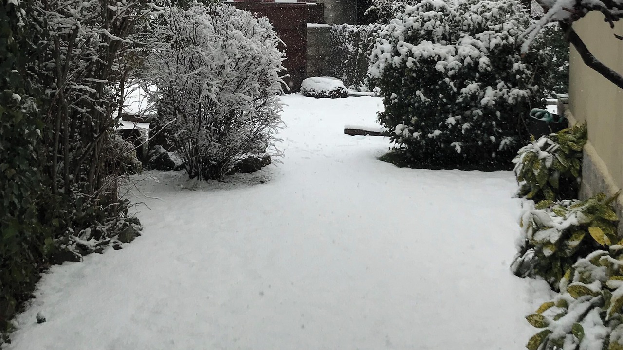 Photo of Outdoor in Cercedilla
