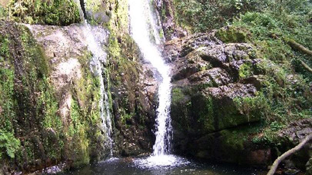 Photo of Outdoor in Coana