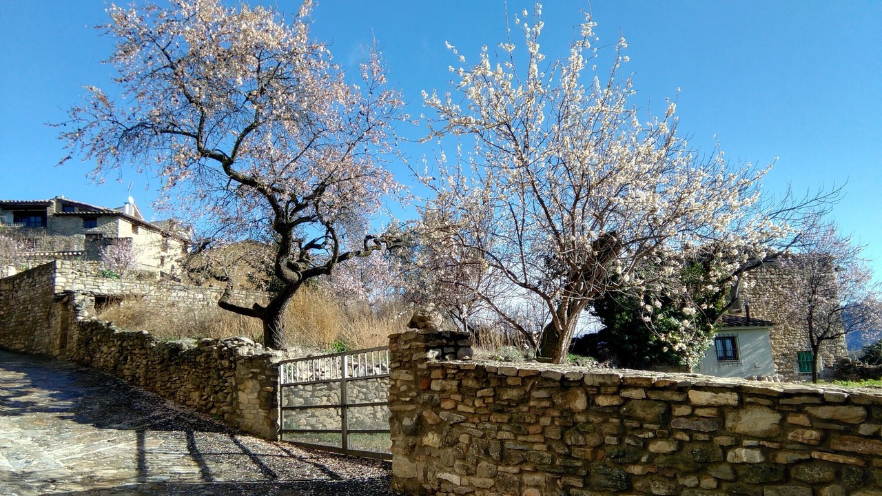 Photo of Outdoor in Roda de Isabena