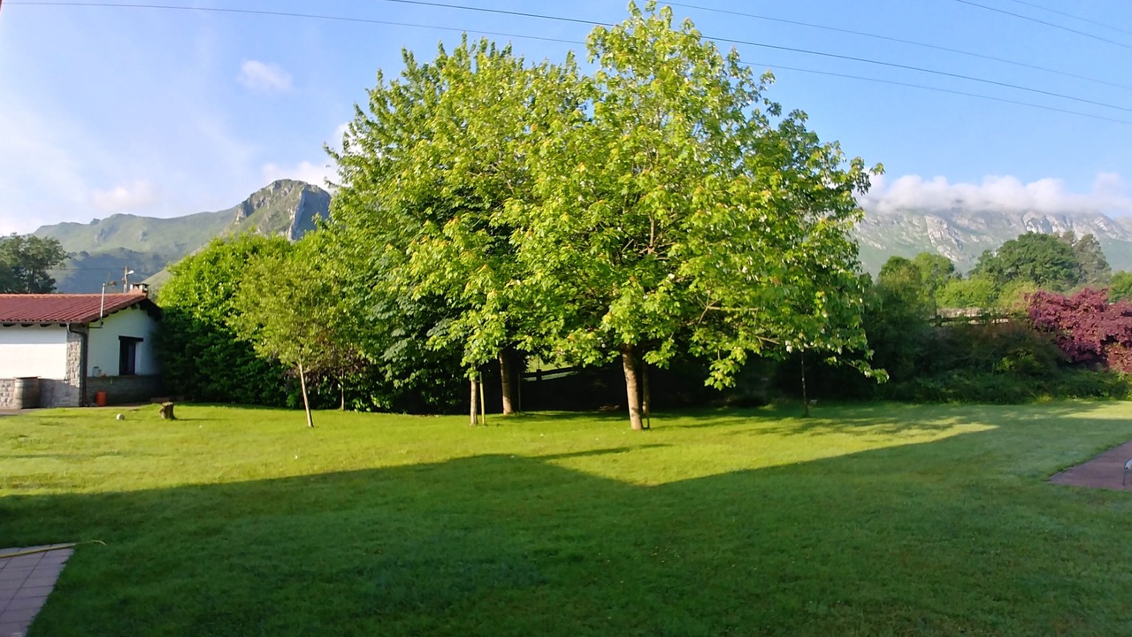 Photo of Outdoor in Llanes