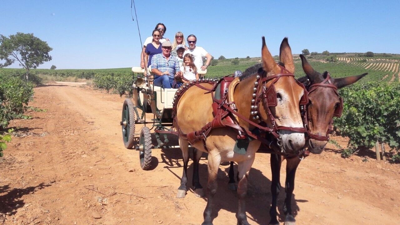 Photo of Others in Villar de Torre