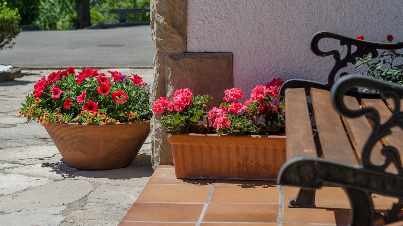 Photo of Patio Balcony in Cabranes