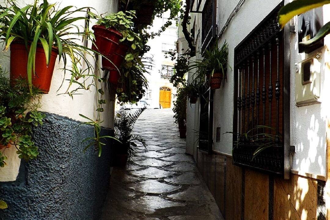 Photo of Outdoor in Quesada