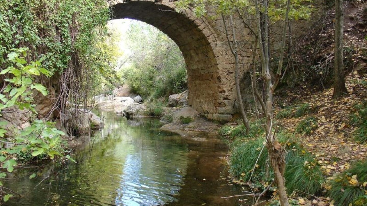 Photo of Outdoor in Quesada