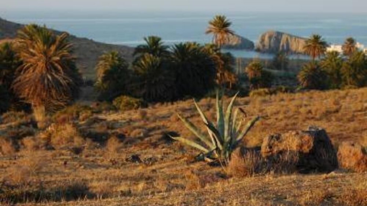 Photo of Others in Rodalquilar