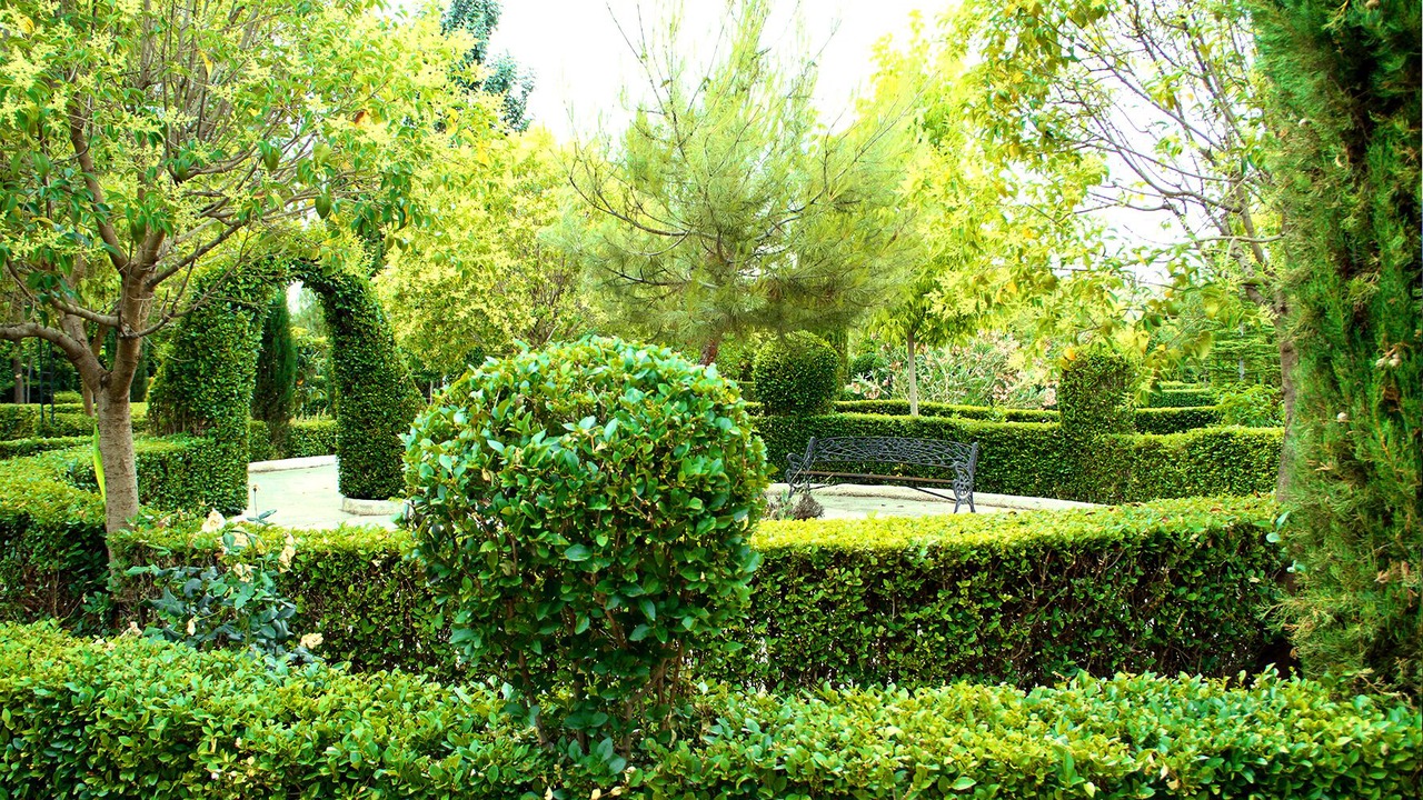 Photo of Outdoor in La Alqueria
