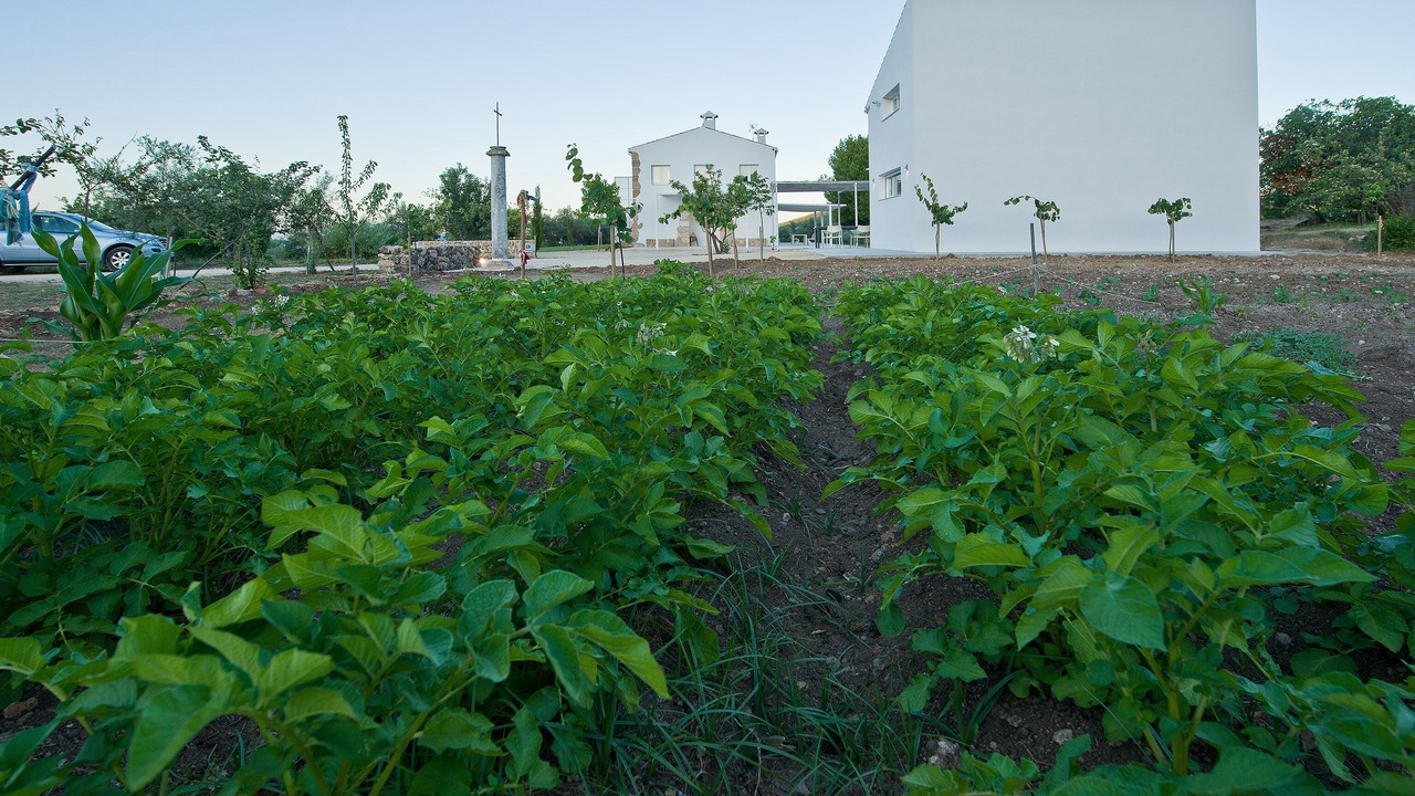 Photo of Outdoor in Carcabuey