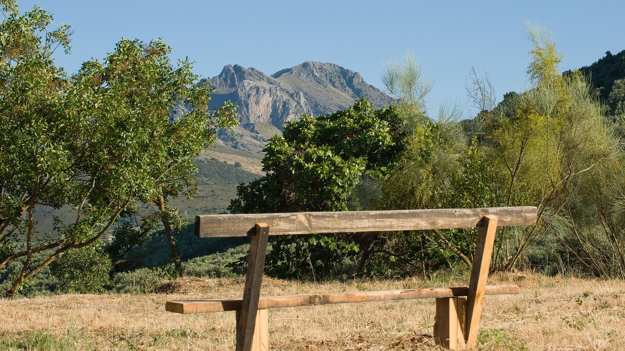 Photo of Outdoor in Carcabuey