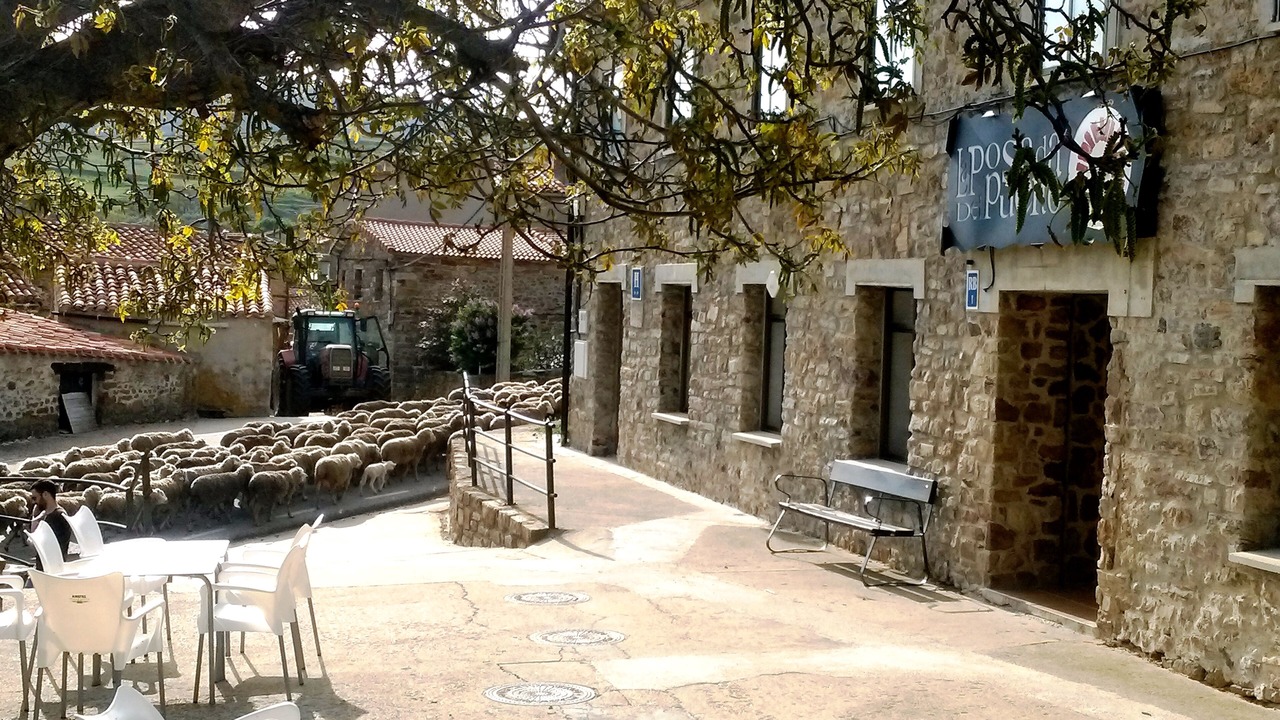 Photo of Outdoor in Oncala