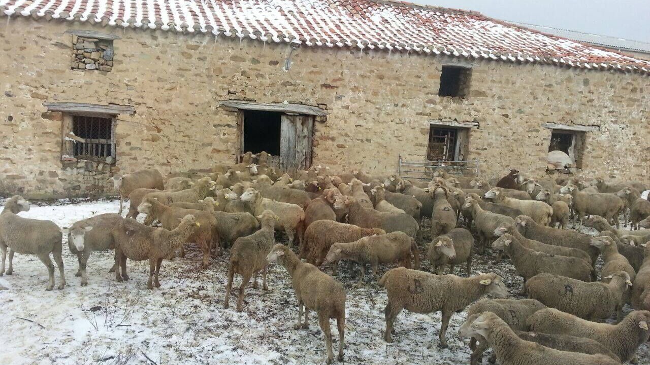 Photo of Outdoor in Oncala