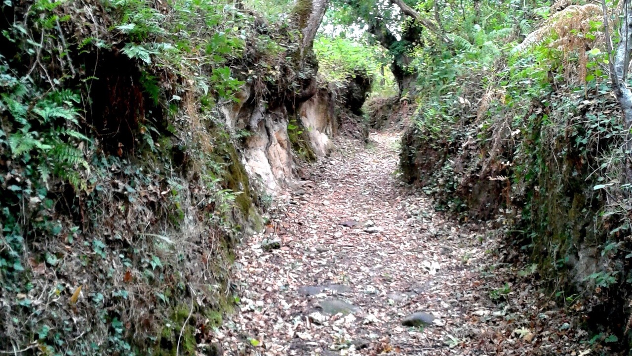 Photo of Outdoor in A Merca
