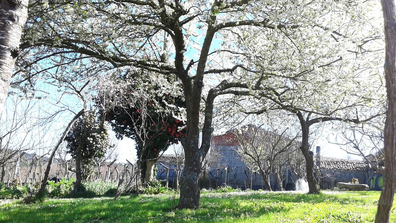 Photo of Outdoor in A Merca