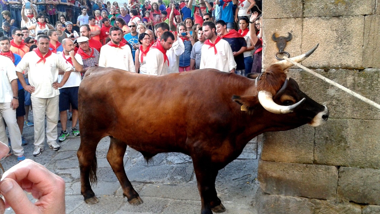 Photo of Others in A Merca