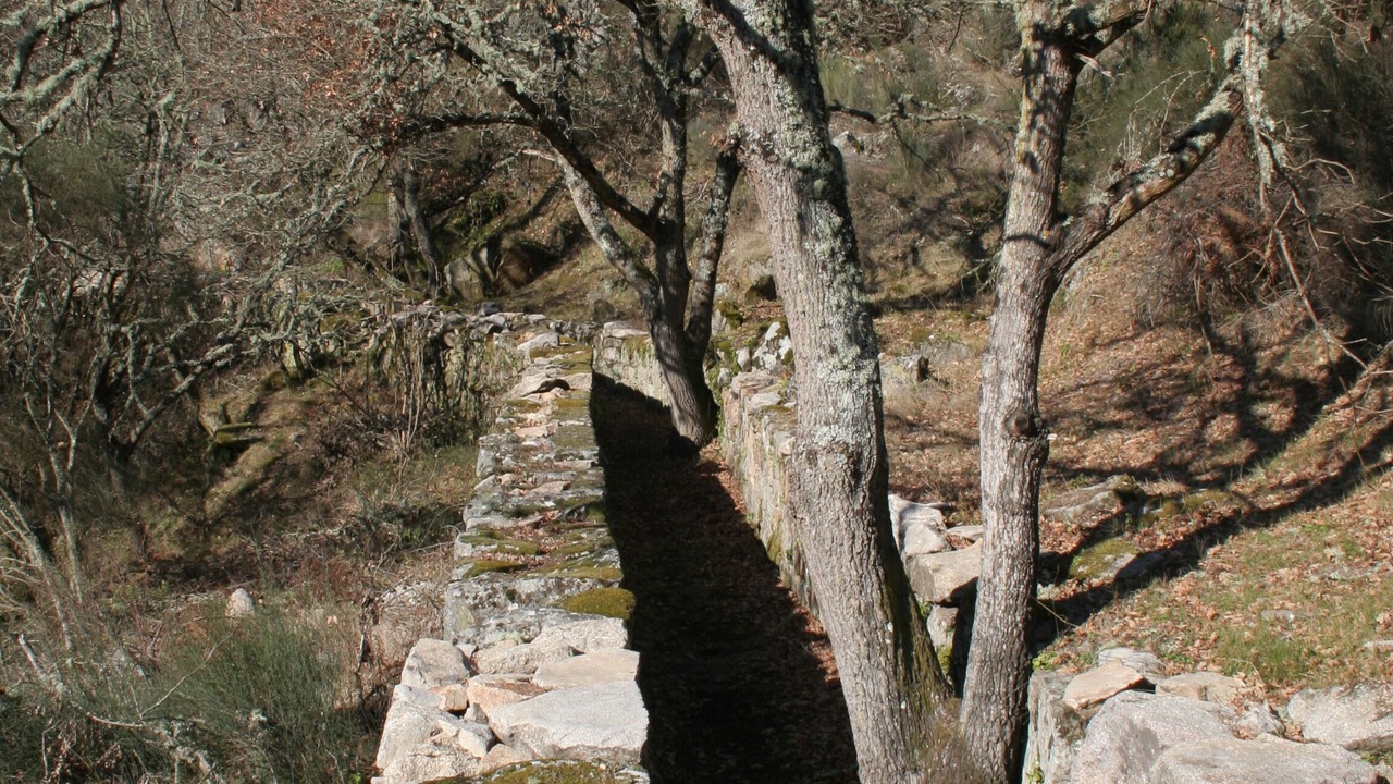 Photo of Outdoor in A Merca