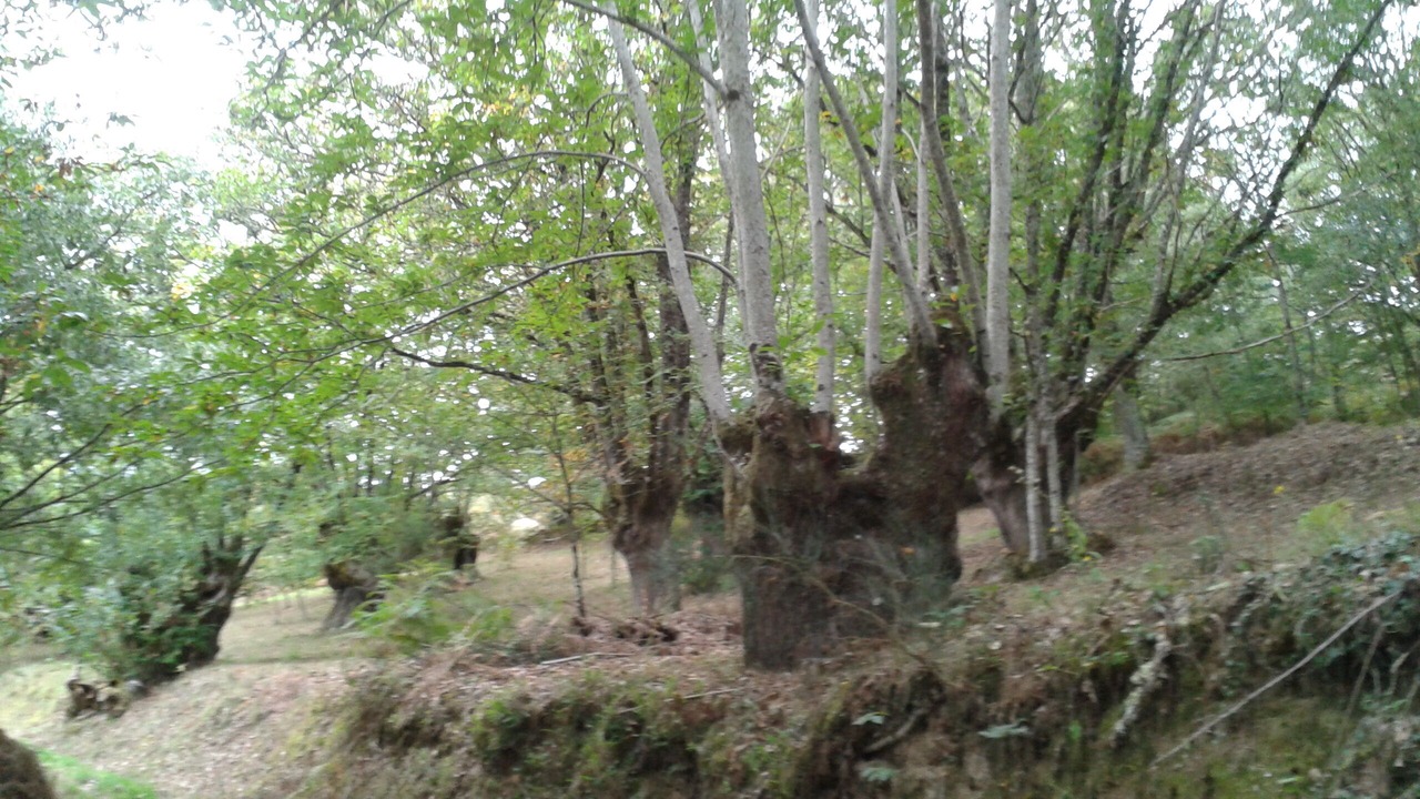 Photo of Outdoor in A Merca