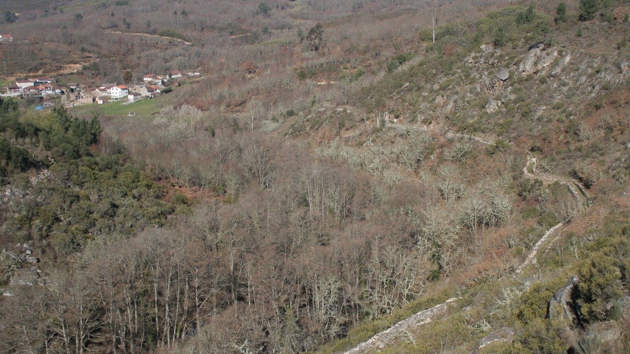 Photo of Outdoor in A Merca