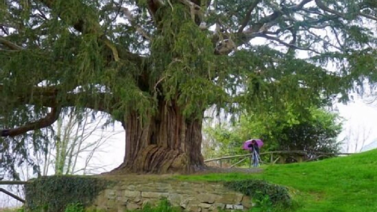 Photo of Outdoor in Quiros