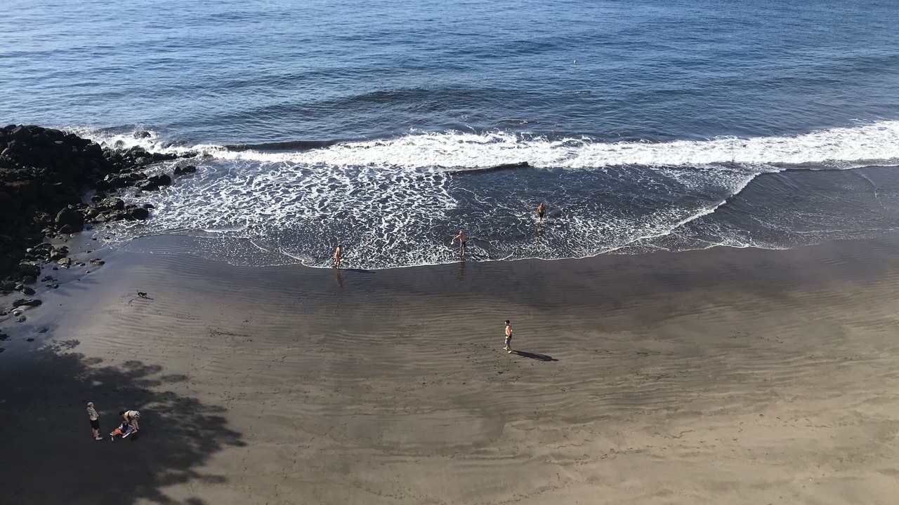 Photo of Others in Santa Cruz de Tenerife