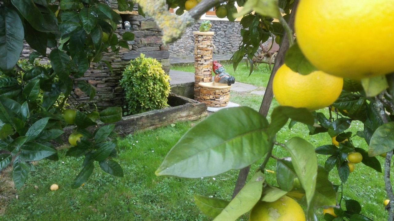 Photo of Outdoor in Coana