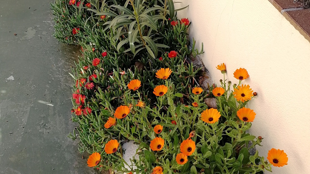 Photo of Outdoor in Cortes de Baza