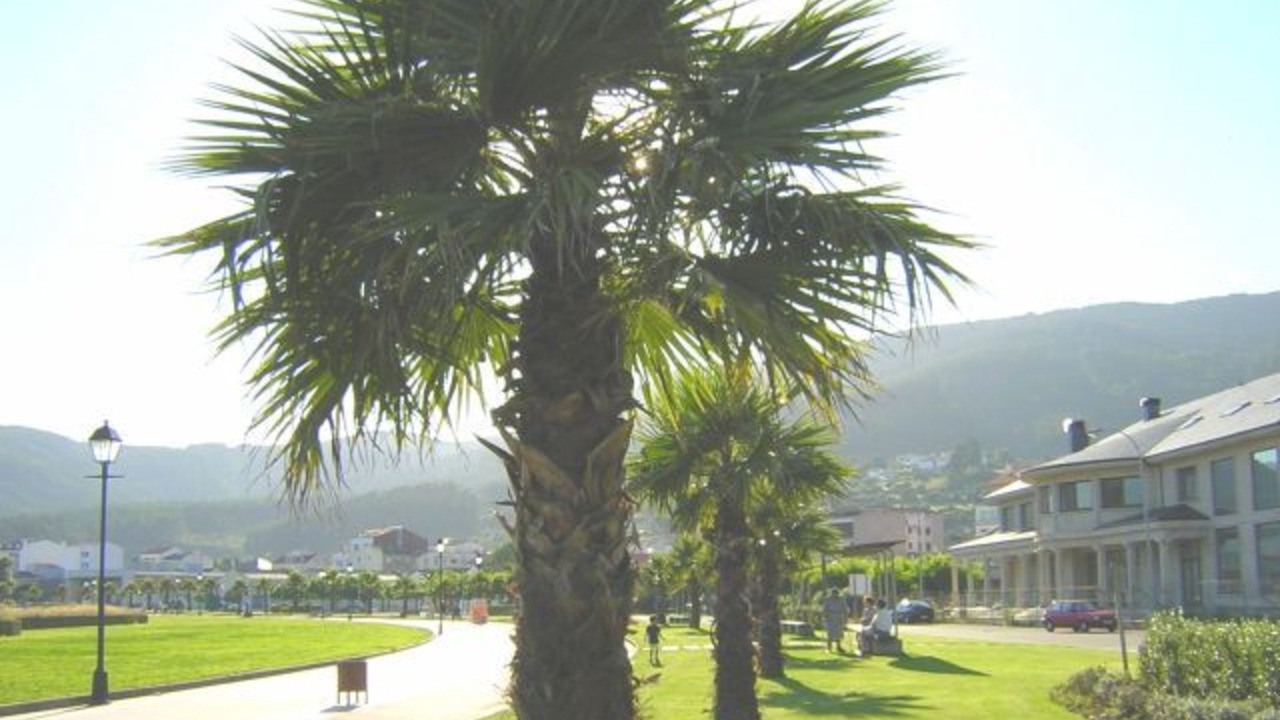 Photo of Outdoor in Carino