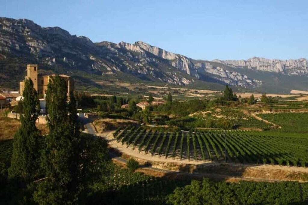 Photo of Outdoor in Ganuza