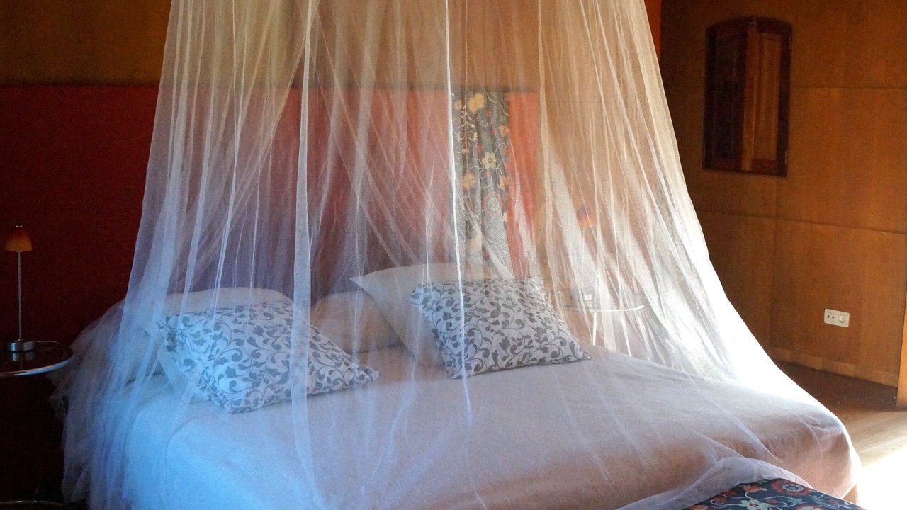 Photo of Bedroom in A Lama