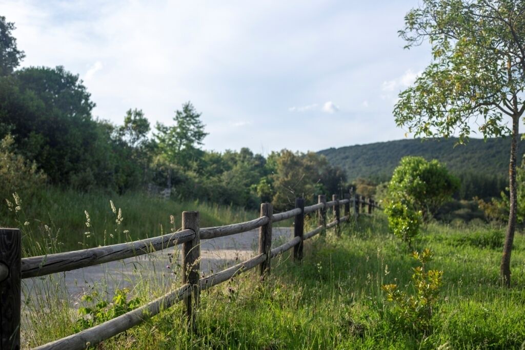 Photo of Outdoor in Carucedo