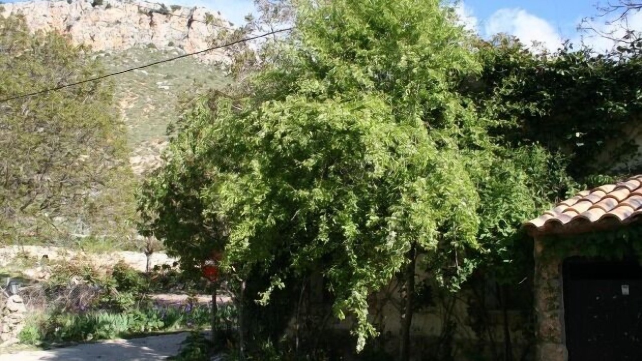Photo of Outdoor in Nerpio