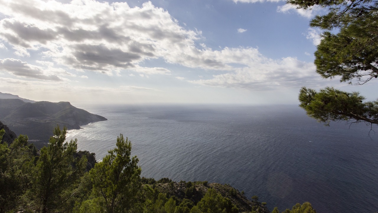 Photo of Others in Valldemossa