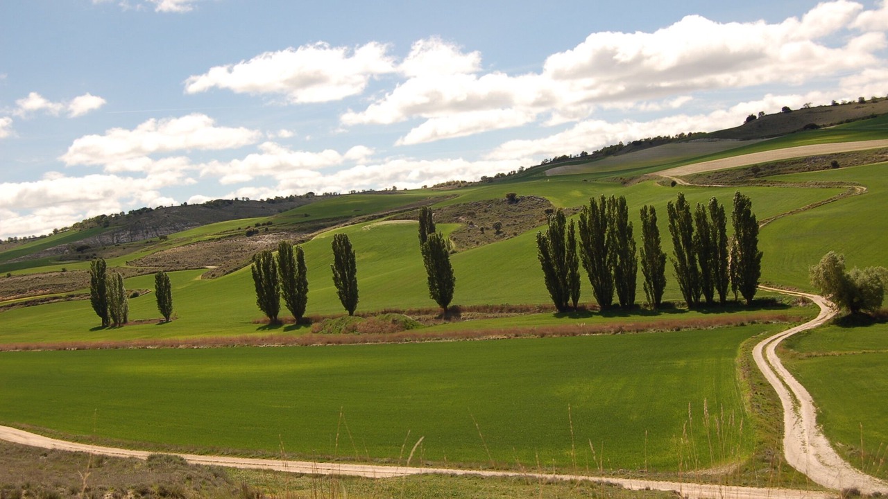 Photo of Others in Baltanas