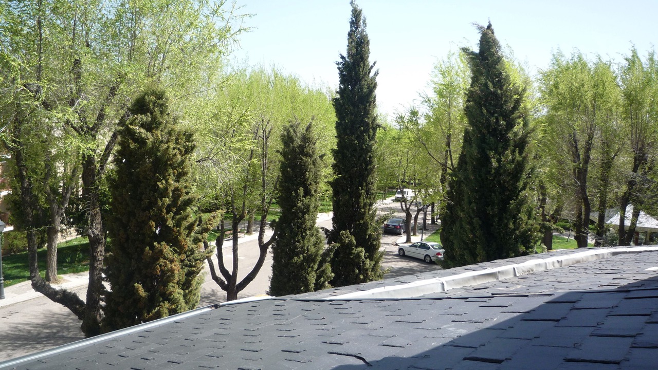 Photo of Outdoor in San Lorenzo de El Escorial