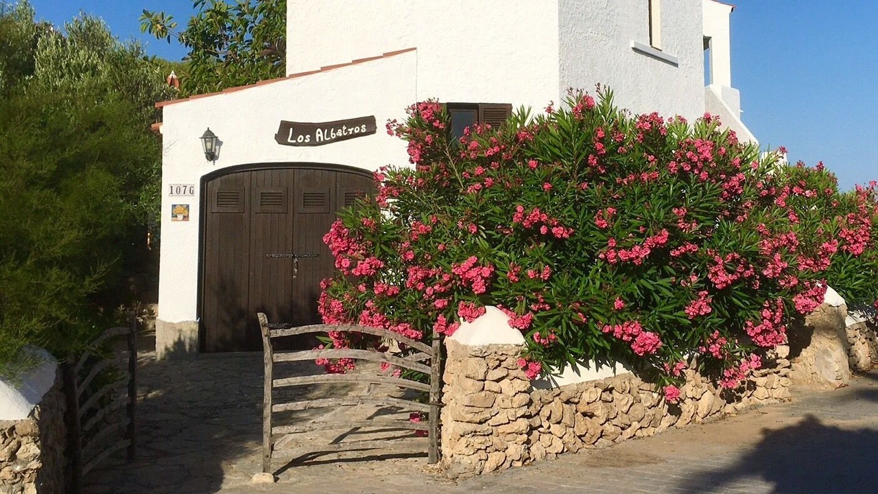 Photo of Outdoor in Punta Grossa