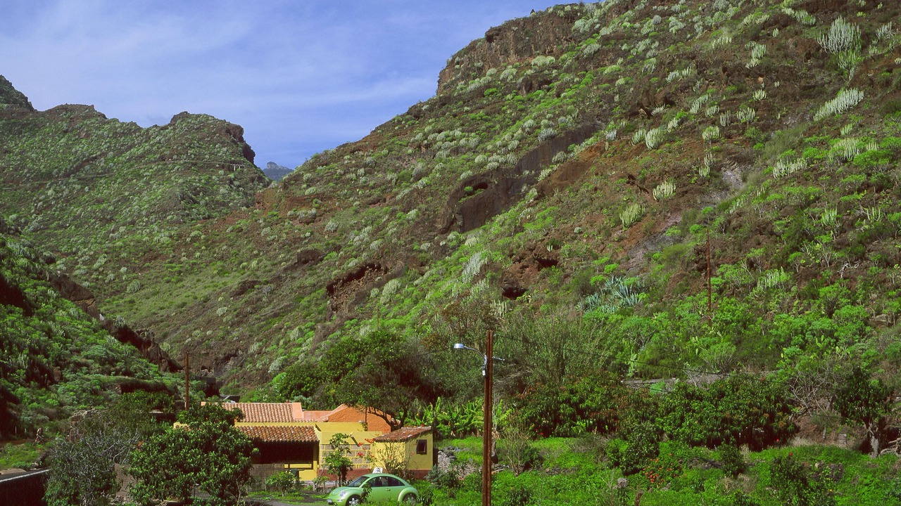 Photo of Outdoor in Santa Cruz de Tenerife