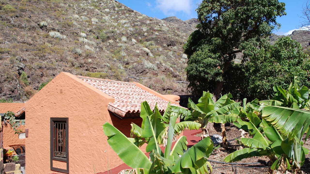 Photo of Outdoor in Santa Cruz de Tenerife