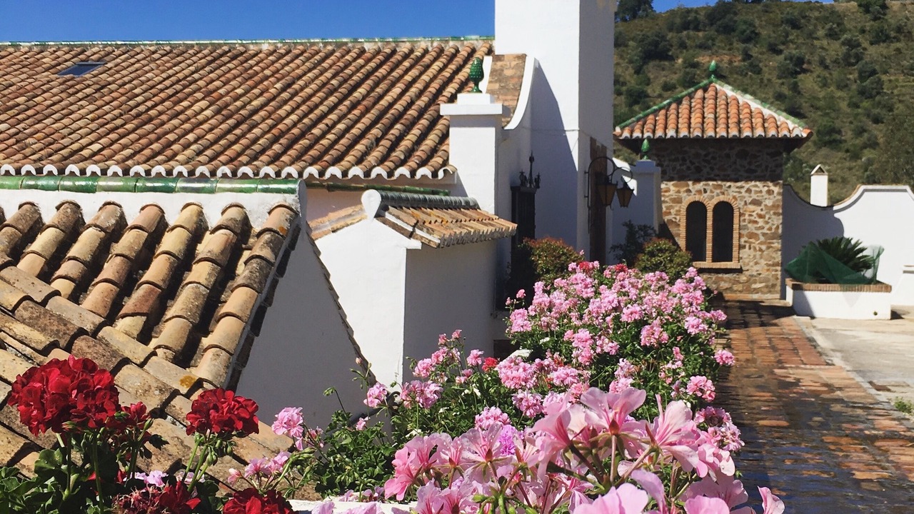 Photo of Outdoor in Malaga-Este