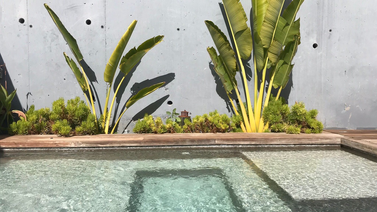 Photo of Outdoor in El Rincon