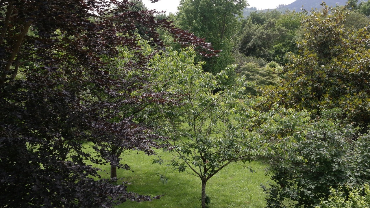 Photo of Outdoor in San Juan de Parres