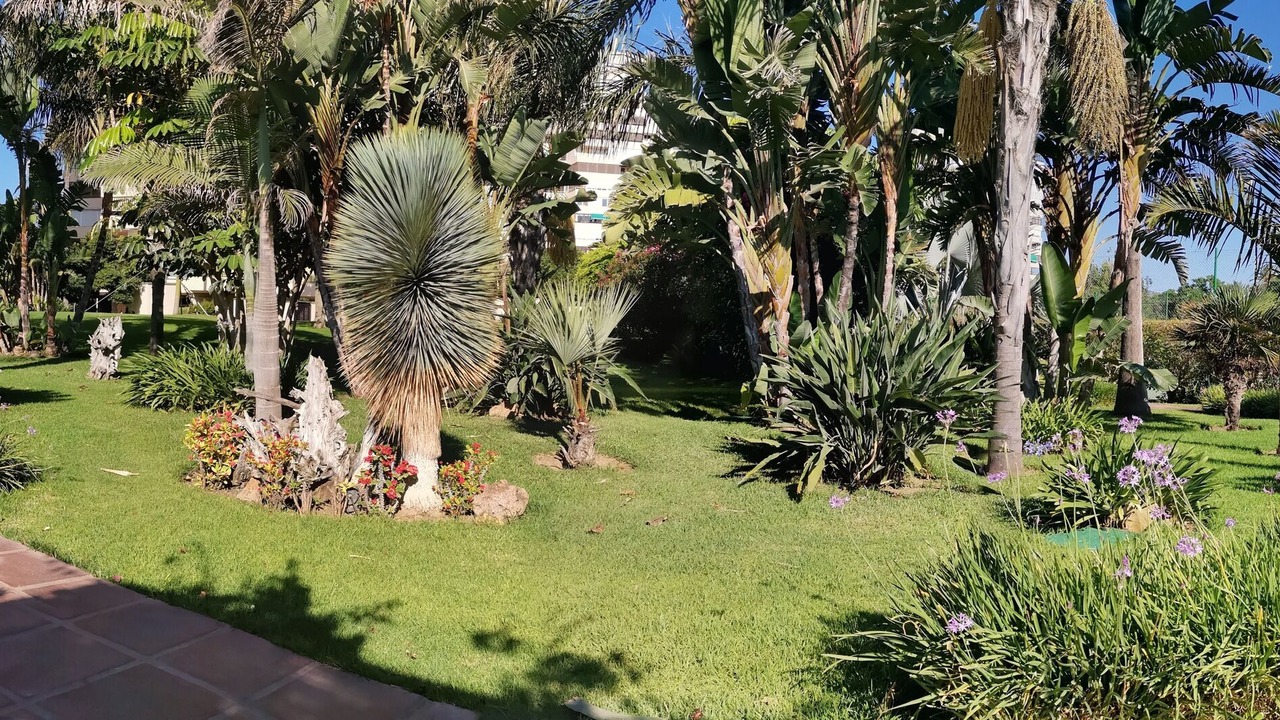 Photo of Outdoor in Torremolinos