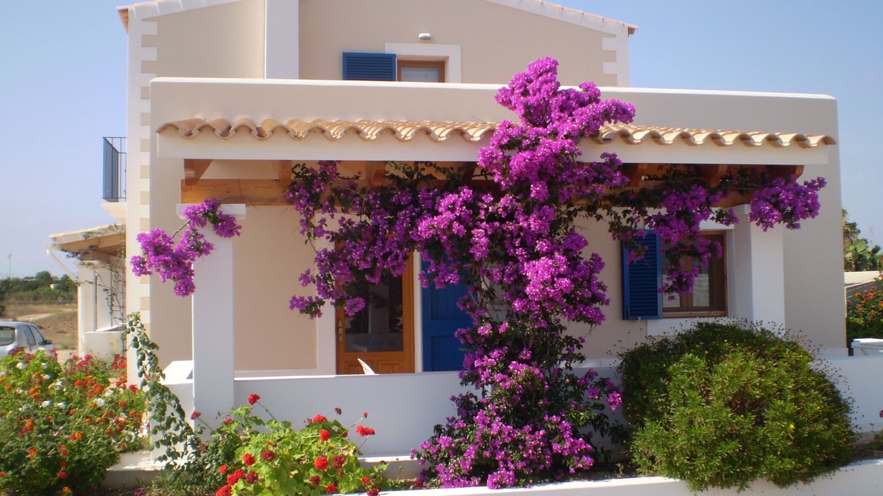 Photo of Outdoor in Sant Francesc Xavier
