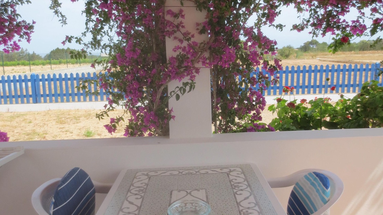 Photo of Outdoor in Sant Francesc Xavier