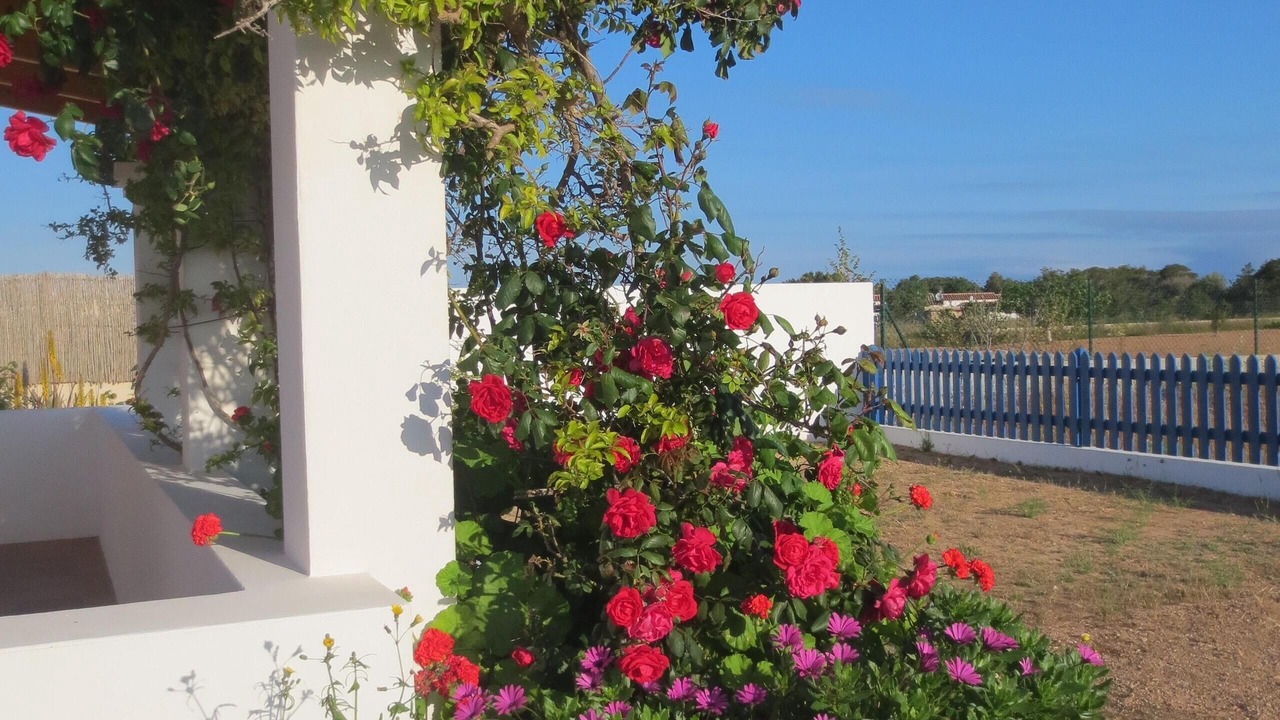 Photo of Outdoor in Sant Francesc Xavier