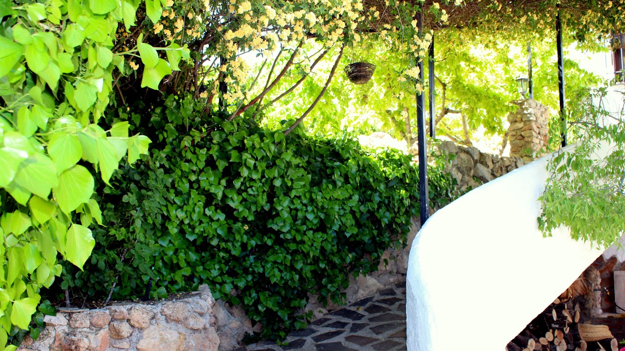 Photo of Outdoor in Huelma