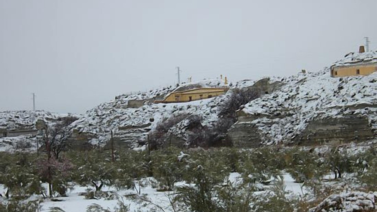 Photo of Outdoor in Cullar