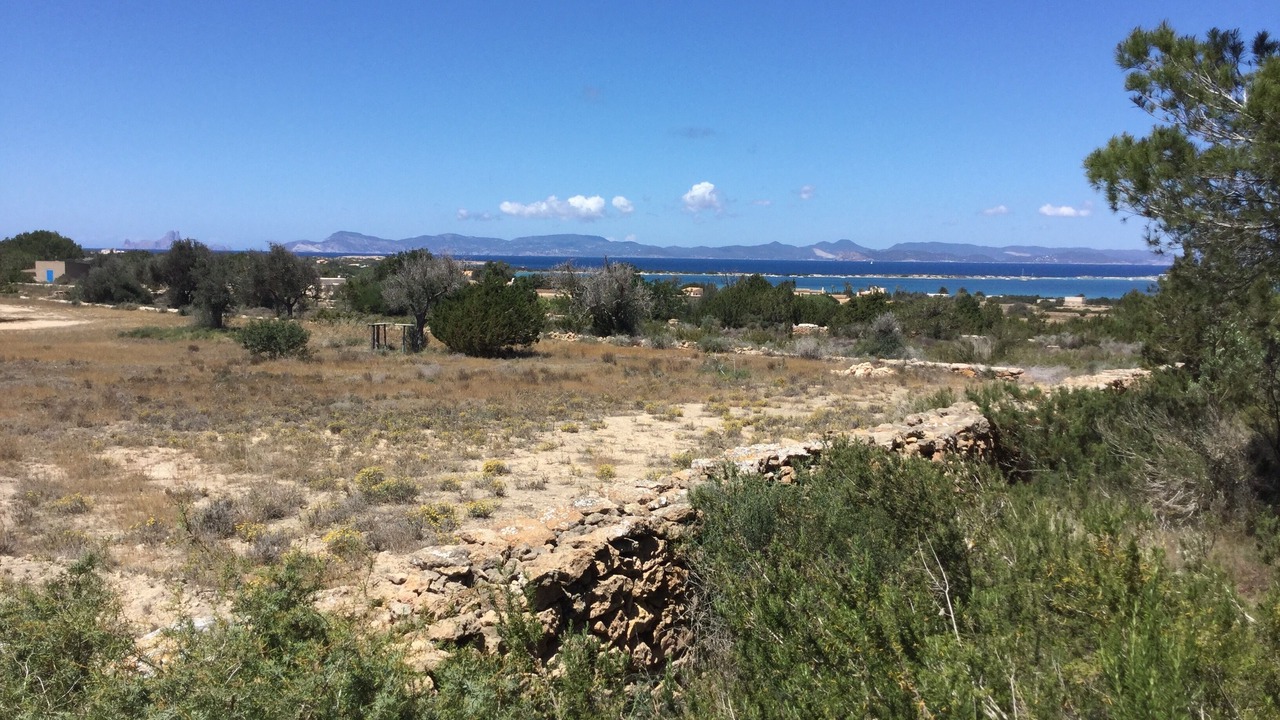 Photo of Others in Sant Francesc Xavier