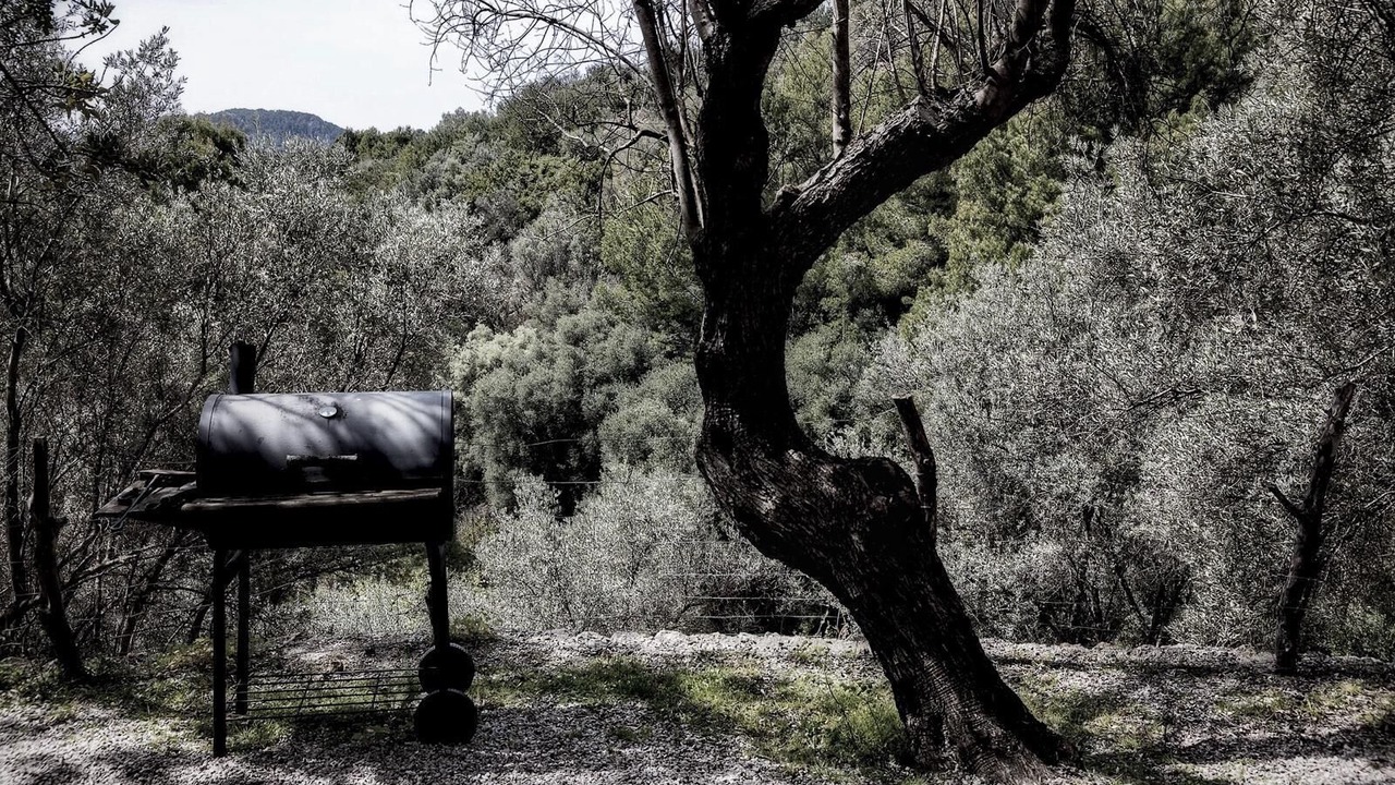 Photo of Outdoor in Soller