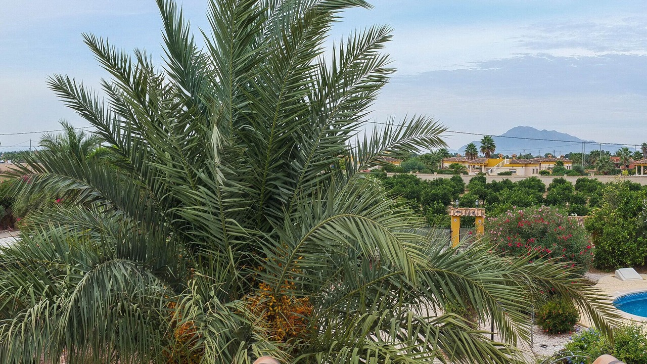 Photo of Outdoor in Catral